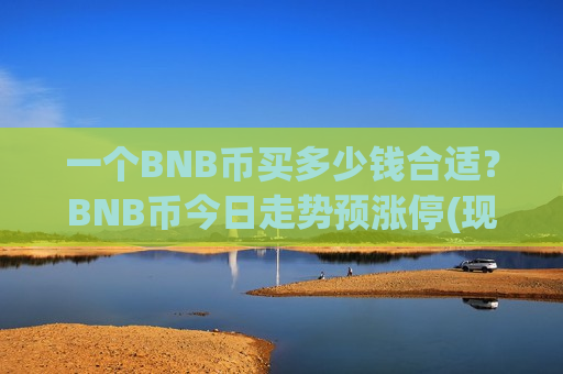 一个BNB币买多少钱合适？BNB币今日走势预涨停(现价5109.88元)