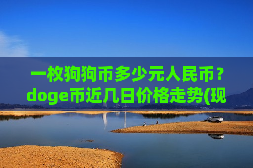 一枚狗狗币多少元人民币？doge币近几日价格走势(现价2.6354元)