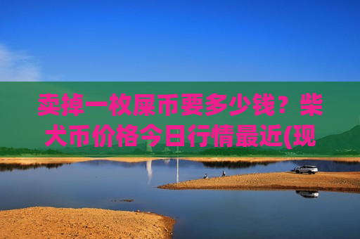 卖掉一枚屎币要多少钱？柴犬币价格今日行情最近(现价0.00017671元)