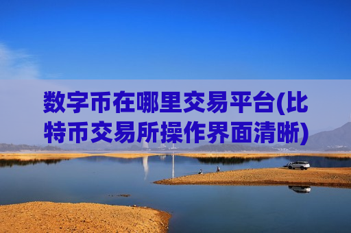 数字币在哪里交易平台(比特币交易所操作界面清晰)