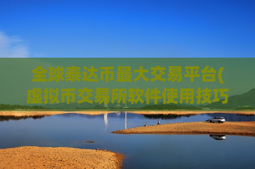 全球泰达币最大交易平台(虚拟币交易所软件使用技巧)