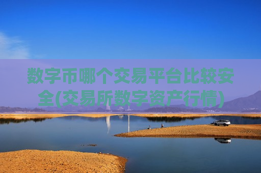 数字币哪个交易平台比较安全(交易所数字资产行情)
