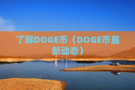 了解DOGE币（DOGE币最新动态）