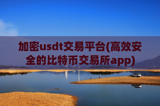 加密usdt交易平台(高效安全的比特币交易所app)