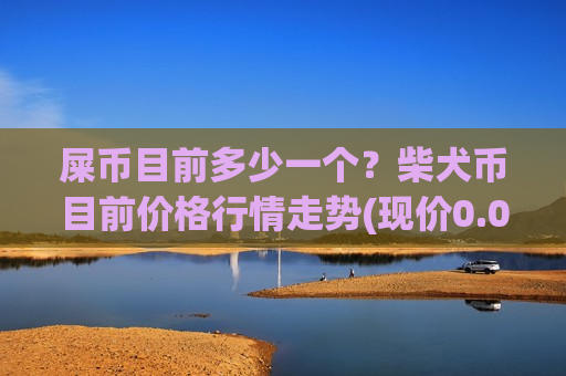 屎币目前多少一个？柴犬币目前价格行情走势(现价0.00017619元)