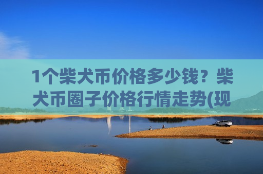 1个柴犬币价格多少钱？柴犬币圈子价格行情走势(现价0.00017675元)