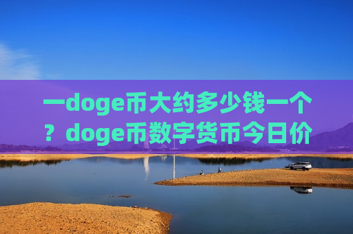 一doge币大约多少钱一个？doge币数字货币今日价格(现价2.6464元)