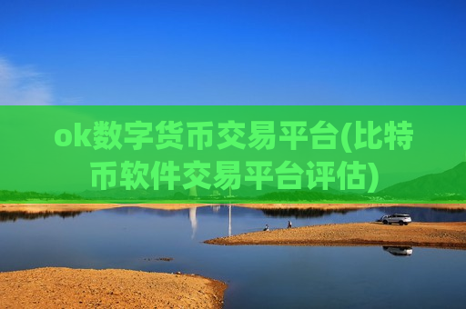 ok数字货币交易平台(比特币软件交易平台评估)