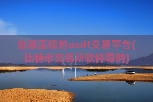 全球正规的usdt交易平台(比特币交易所软件导购)