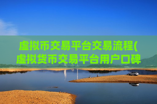 虚拟币交易平台交易流程(虚拟货币交易平台用户口碑好)