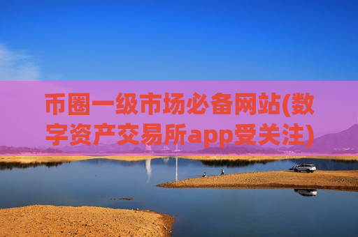 币圈一级市场必备网站(数字资产交易所app受关注)