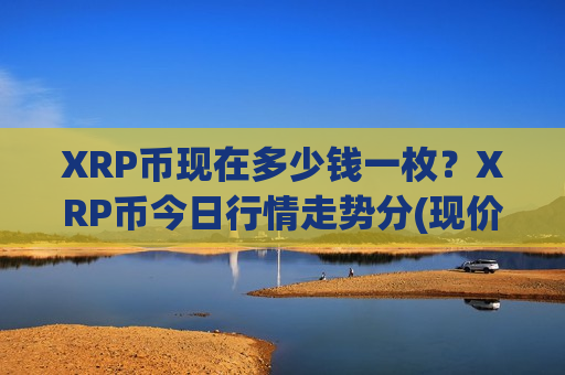 XRP币现在多少钱一枚？XRP币今日行情走势分(现价17.206元)