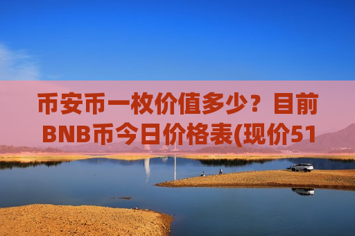 币安币一枚价值多少？目前BNB币今日价格表(现价5132.88元)