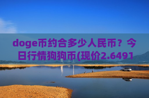doge币约合多少人民币？今日行情狗狗币(现价2.6491元)