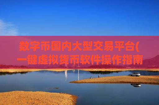 数字币国内大型交易平台(一键虚拟货币软件操作指南)