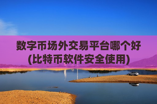 数字币场外交易平台哪个好(比特币软件安全使用)