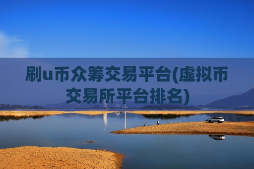 刷u币众筹交易平台(虚拟币交易所平台排名)