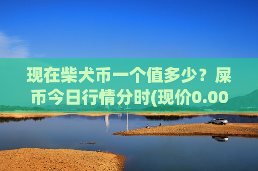 现在柴犬币一个值多少？屎币今日行情分时(现价0.00017591元)
