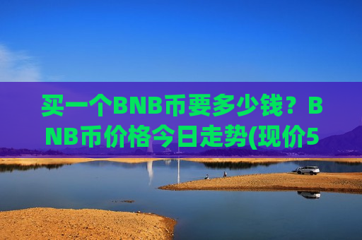 买一个BNB币要多少钱？BNB币价格今日走势(现价5113.89元)