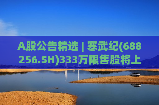 A股公告精选 | 寒武纪(688256.SH)333万限售股将上市 中国铝业(601600.SH)一季度净利预增58%