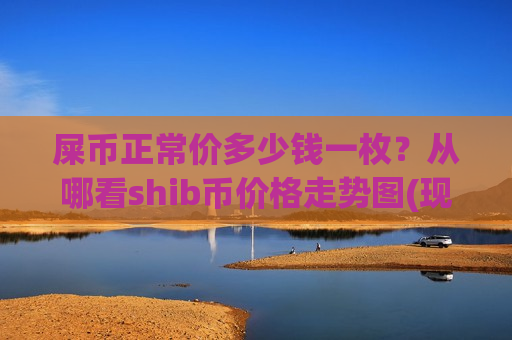 屎币正常价多少钱一枚？从哪看shib币价格走势图(现价0.00017598元)