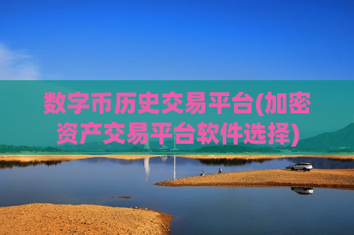 数字币历史交易平台(加密资产交易平台软件选择)