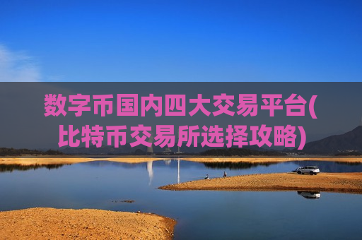 数字币国内四大交易平台(比特币交易所选择攻略)