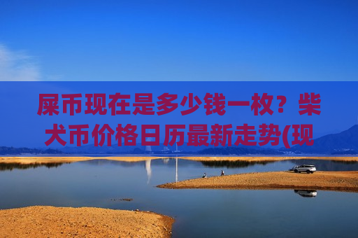 屎币现在是多少钱一枚？柴犬币价格日历最新走势(现价0.00017496元)