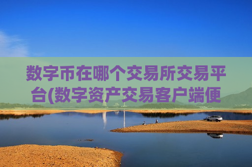 数字币在哪个交易所交易平台(数字资产交易客户端便捷交易所)