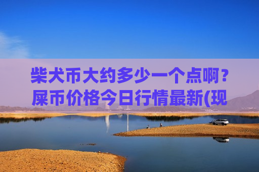 柴犬币大约多少一个点啊？屎币价格今日行情最新(现价0.00017638元)