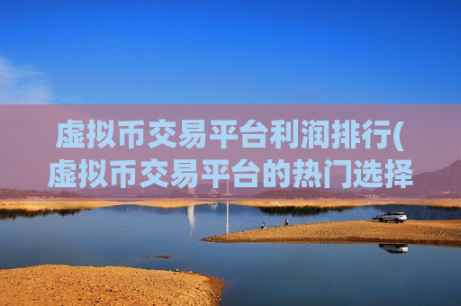 虚拟币交易平台利润排行(虚拟币交易平台的热门选择)