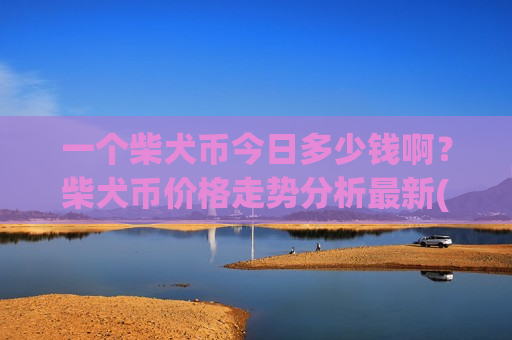 一个柴犬币今日多少钱啊？柴犬币价格走势分析最新(现价0.00017547元)