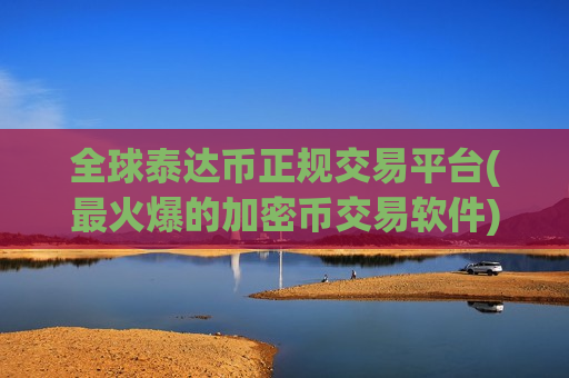 全球泰达币正规交易平台(最火爆的加密币交易软件)