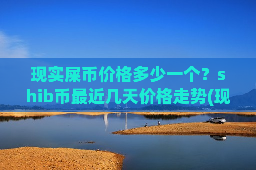 现实屎币价格多少一个？shib币最近几天价格走势(现价0.00017561元)