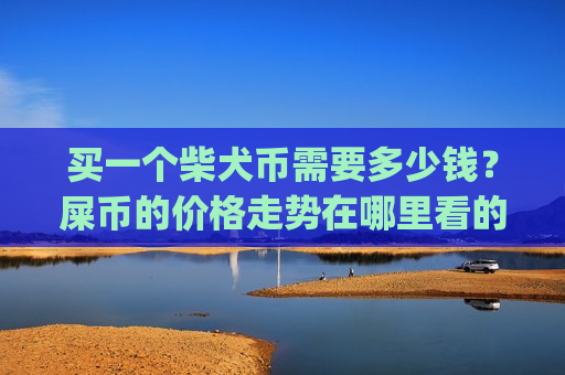 买一个柴犬币需要多少钱？屎币的价格走势在哪里看的到(现价0.0001756元)