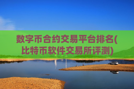 数字币合约交易平台排名(比特币软件交易所评测)