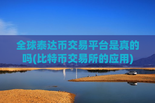 全球泰达币交易平台是真的吗(比特币交易所的应用)