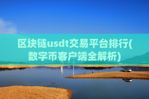 区块链usdt交易平台排行(数字币客户端全解析)