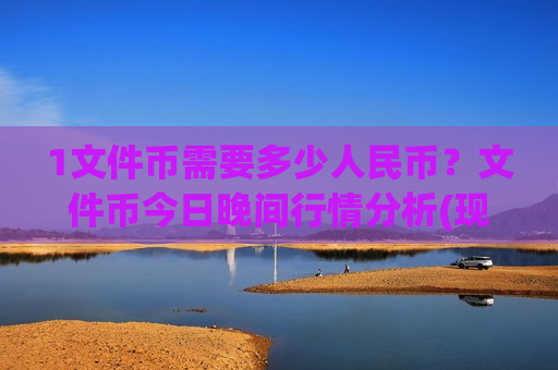 1文件币需要多少人民币？文件币今日晚间行情分析(现价41.2545元)