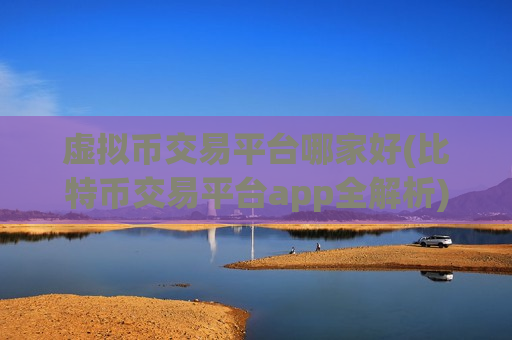 虚拟币交易平台哪家好(比特币交易平台app全解析)