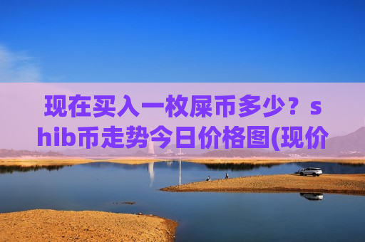 现在买入一枚屎币多少？shib币走势今日价格图(现价0.00017577元)