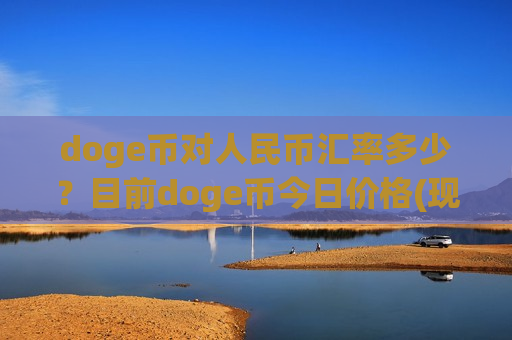 doge币对人民币汇率多少？目前doge币今日价格(现价2.6523元)
