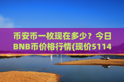 币安币一枚现在多少？今日BNB币价格行情(现价5114.91元)