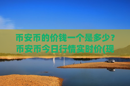 币安币的价钱一个是多少？币安币今日行情实时价(现价5114.69元)