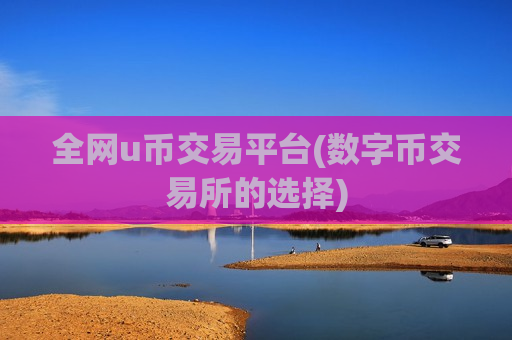 全网u币交易平台(数字币交易所的选择)