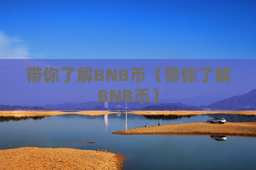 带你了解BNB币（带你了解BNB币）