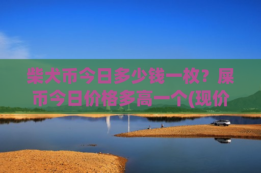 柴犬币今日多少钱一枚？屎币今日价格多高一个(现价0.00017678元)