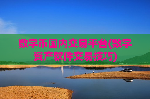 数字币国内交易平台(数字资产软件交易技巧)
