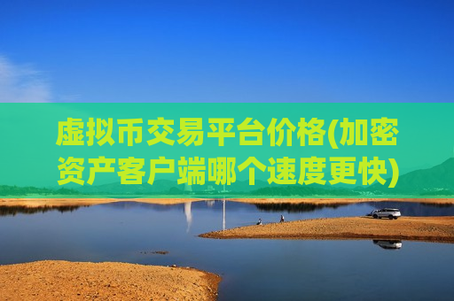 虚拟币交易平台价格(加密资产客户端哪个速度更快)