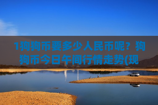 1狗狗币要多少人民币呢？狗狗币今日午间行情走势(现价2.6498元)